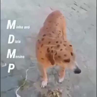 Simp: