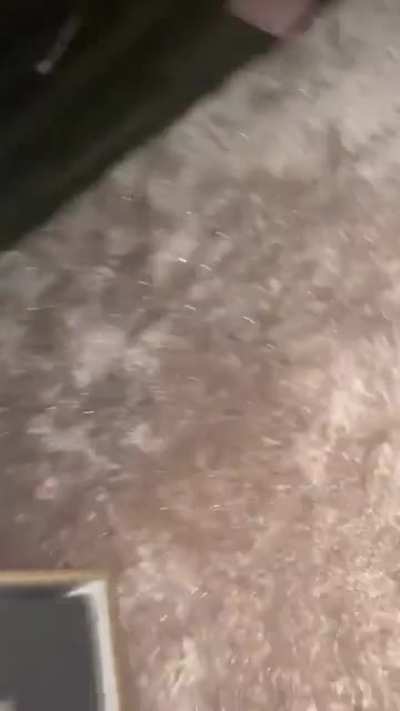 oh shit