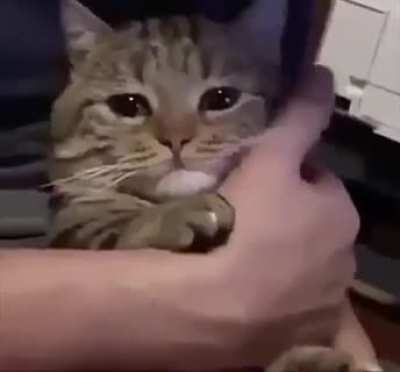 I'm kinda sad rn,ngl