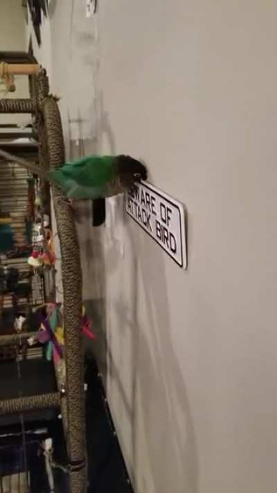 Beware of attacc birb