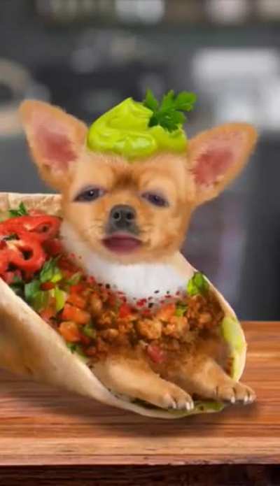 TACO?!