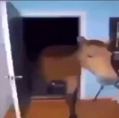 A title