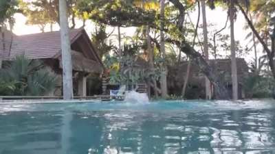 Swimming