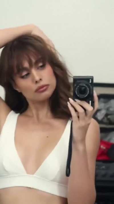 Max Collins 