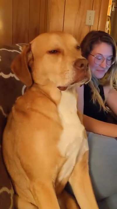 Sleepy dog tries to fight nap