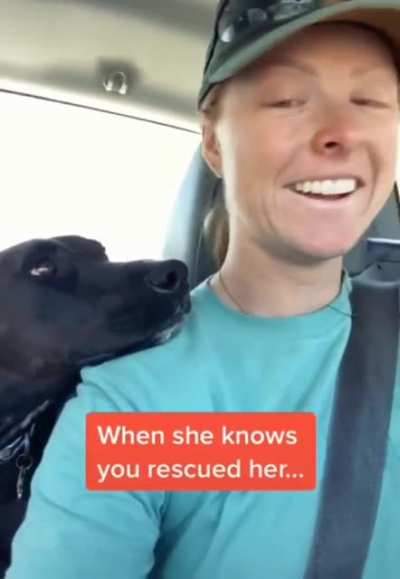 Happy dog