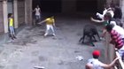 She wanted to run with the Bulls...