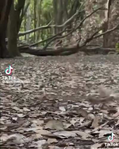 Walking barefoot