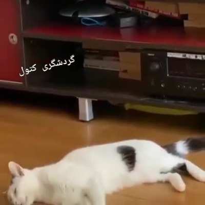 Sonhando