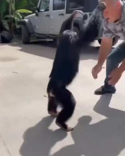 Happy wholesome freakout.