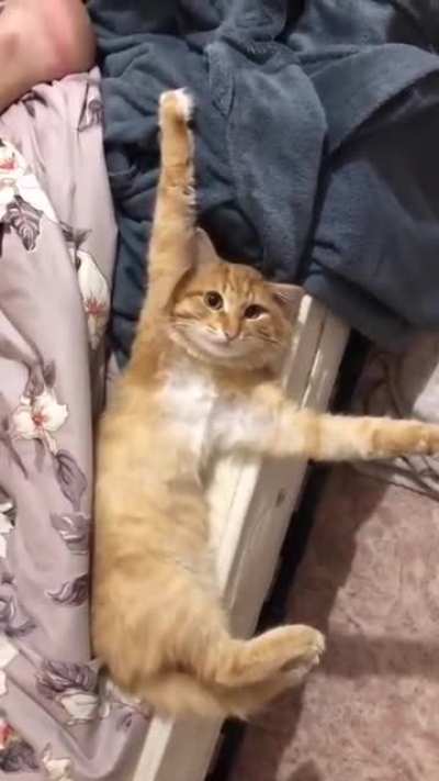 Arms wherever