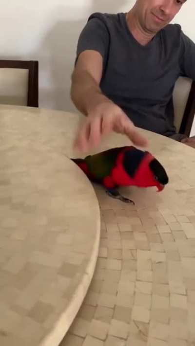 Assisted vibing