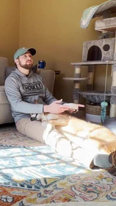 “No more video games, human”