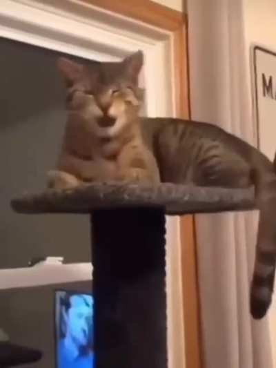 SOUND ON 😍 That's the sweetest 