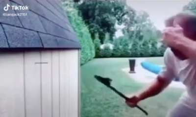 🤣🤣🤣