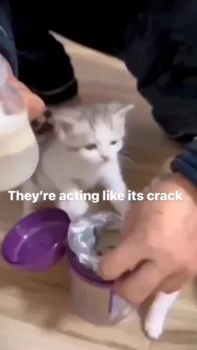 wunky addiction