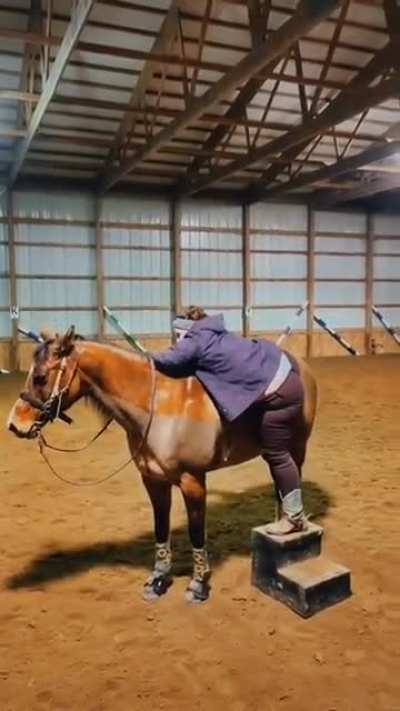 HMF as I ride off into the sunset