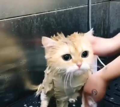 Güne ballı çörek videosu ile başlayalım 🥰