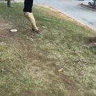 HMB- While I swing from this rope
