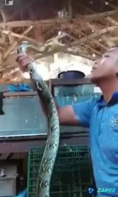 Snek