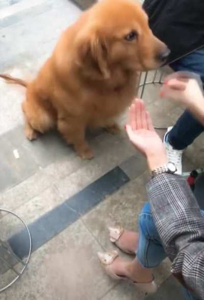 Just wait for it...