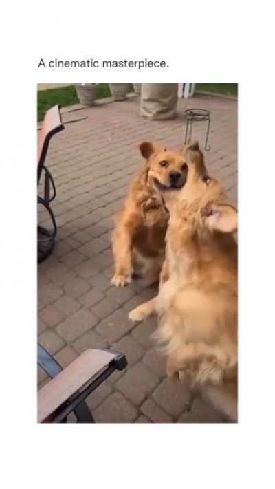 Where did the bread go