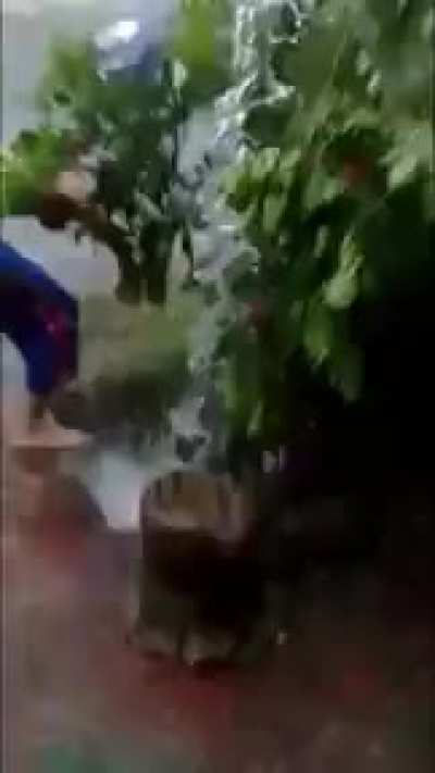 Mario Bros 😎