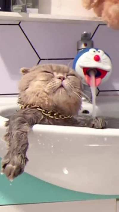 That faucet is epic
