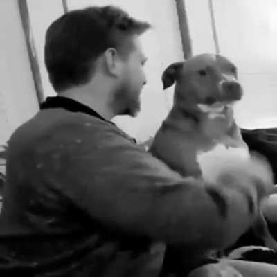 Stupid hooman