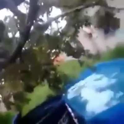 Pedro errando o mlg?