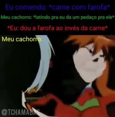 Tadin do dog