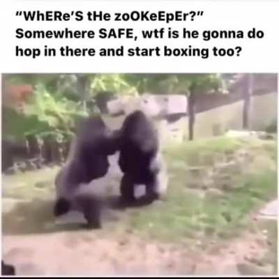Where is he?