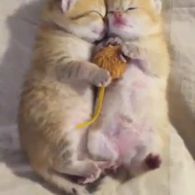 Dreaming