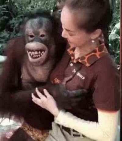 perv monke