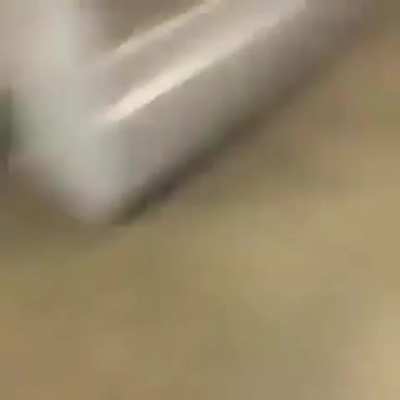 instant karma