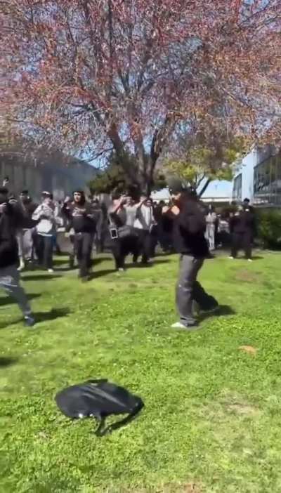 No fight?