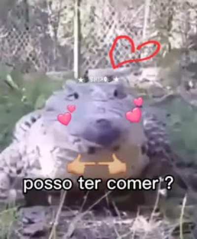 Posso ademe ? 😳