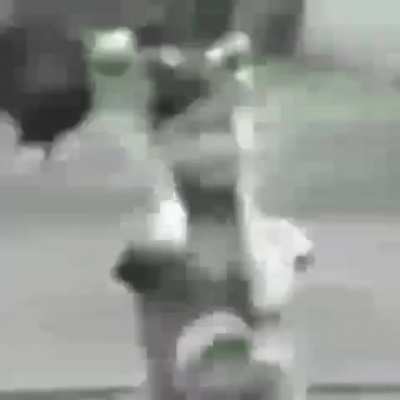 Hum