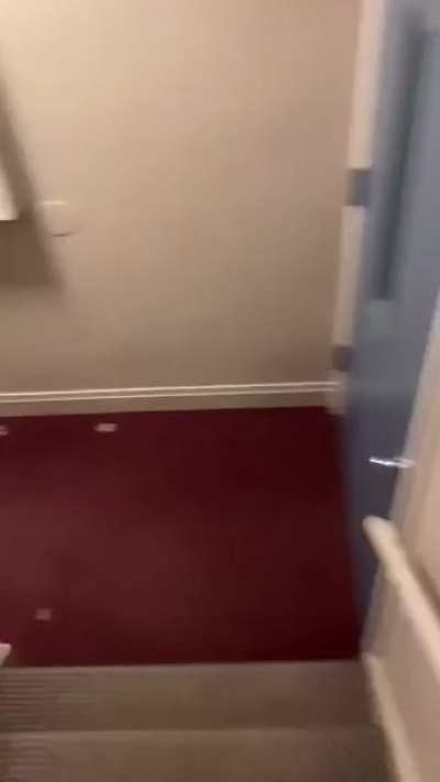 Run!