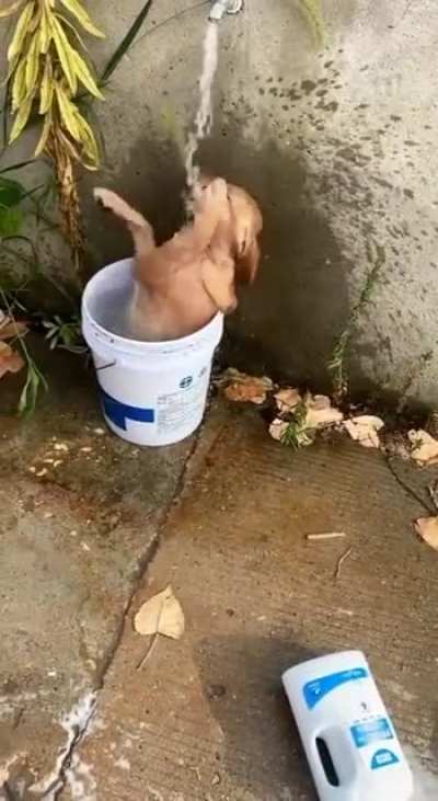 Enjoying his shower