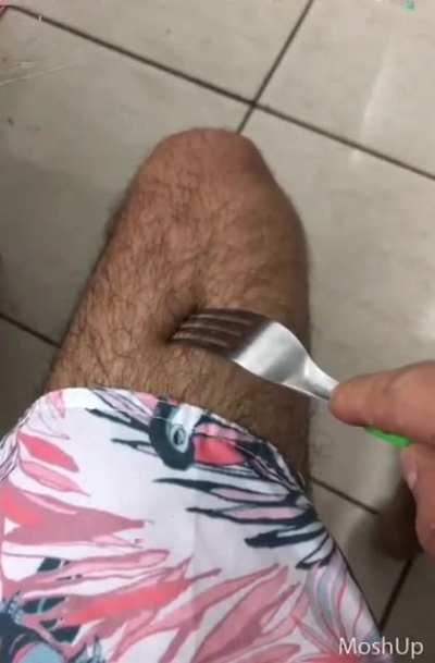Nom nom