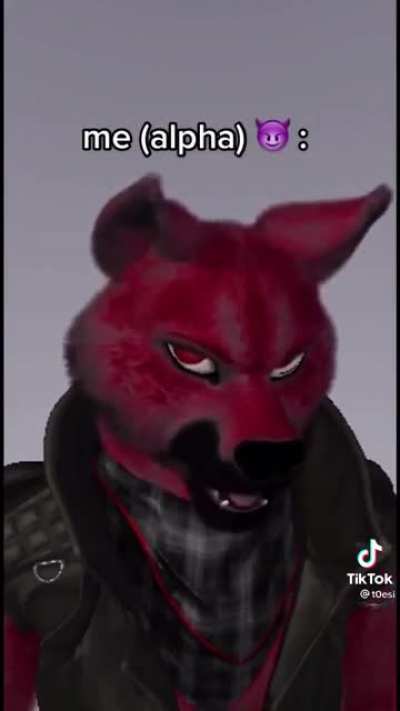 Furry POV