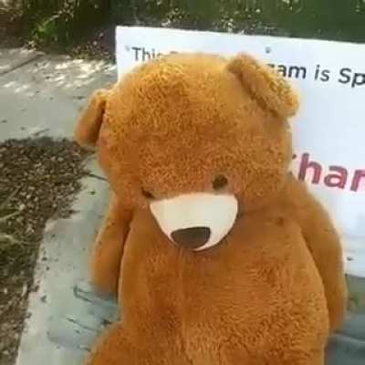 God motherfucking damm Mr Grizzly.