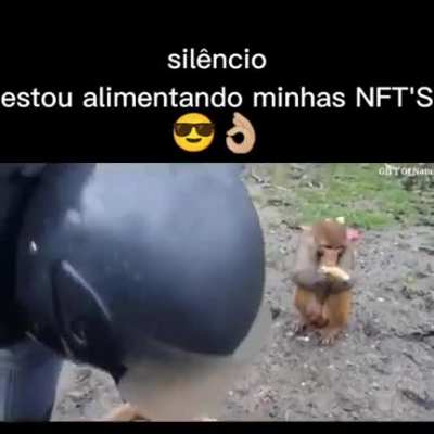 Alimentado minhas nfts 