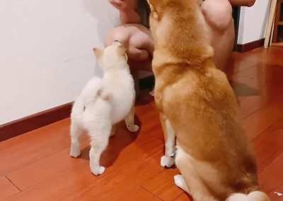Teaching the other