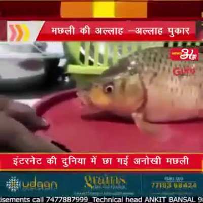 bro tf is up with indian news channels