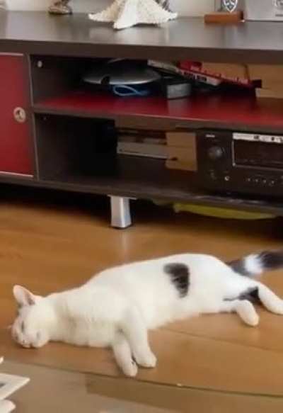 Sleepwalking