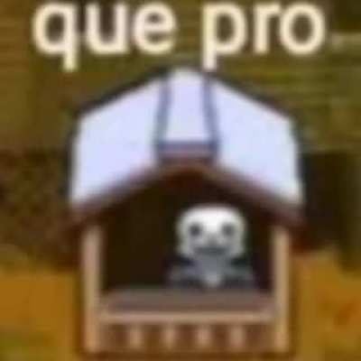 que pro