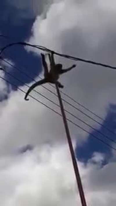 te faltó calle, pa : (