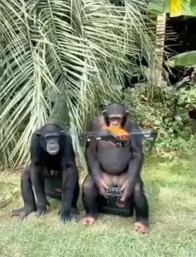 MonkE